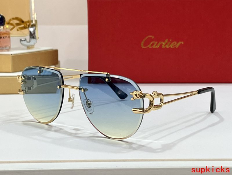 Side view of Cartier unisex sunglasses