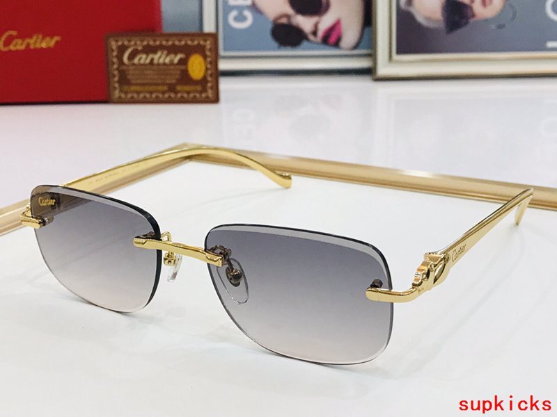 Front view of Cartier unisex sunglasses