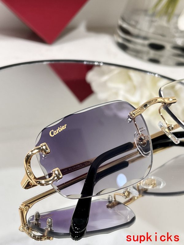 Close-up detail view of Cartier unisex sunglasses