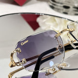 Close-up detail view of Cartier unisex sunglasses