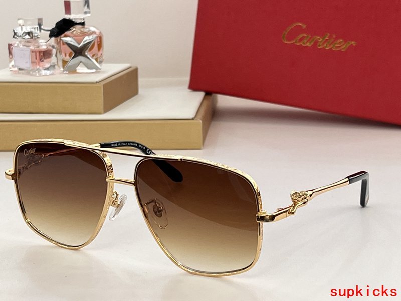 Full view of Cartier unisex sunglasses