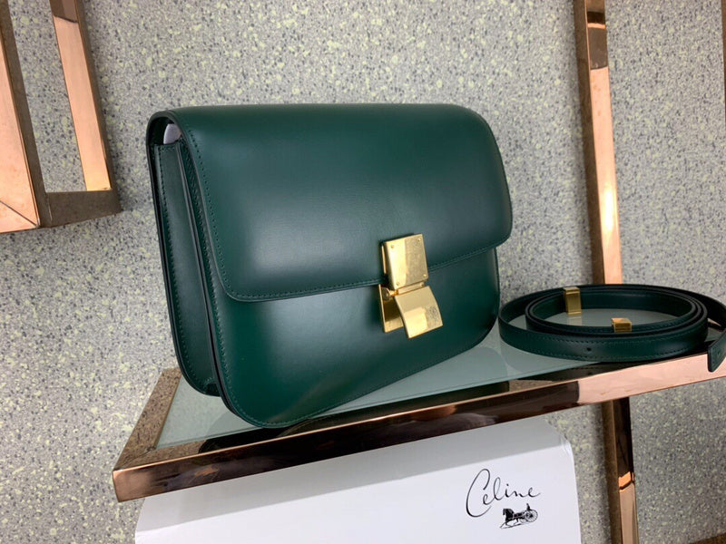 Close-up detail of premium refined women's handbag – women's premium purse
