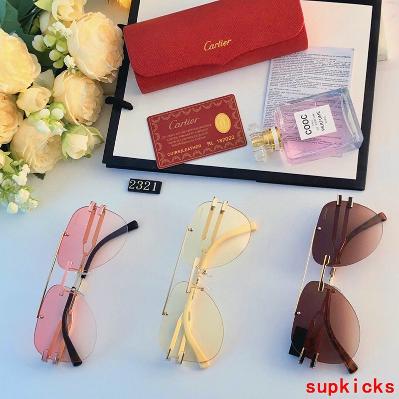 Side view of Cartier unisex sunglasses