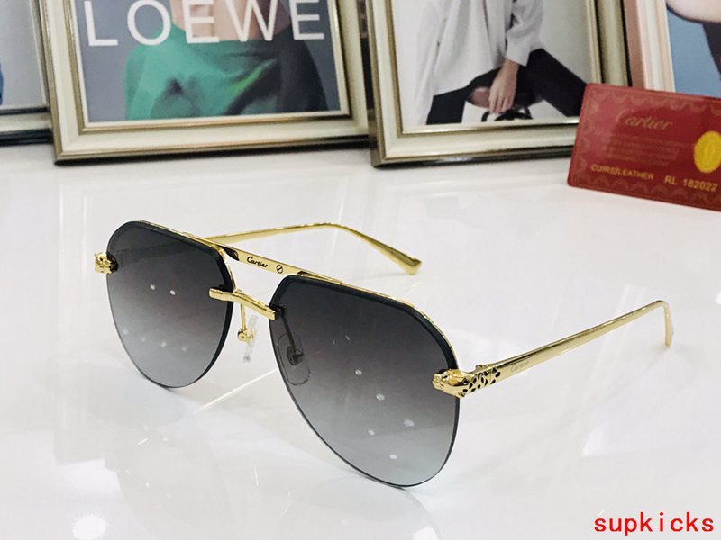 Full view of Cartier unisex sunglasses