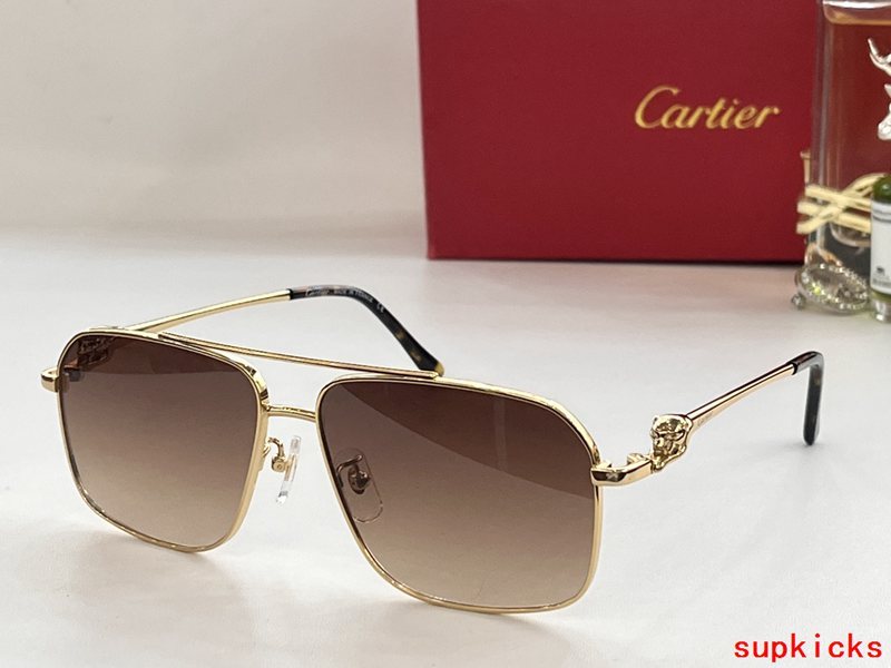 Front view of Cartier unisex sunglasses