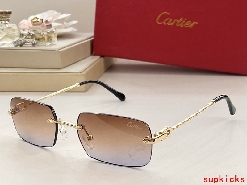 Full view of Cartier unisex sunglasses