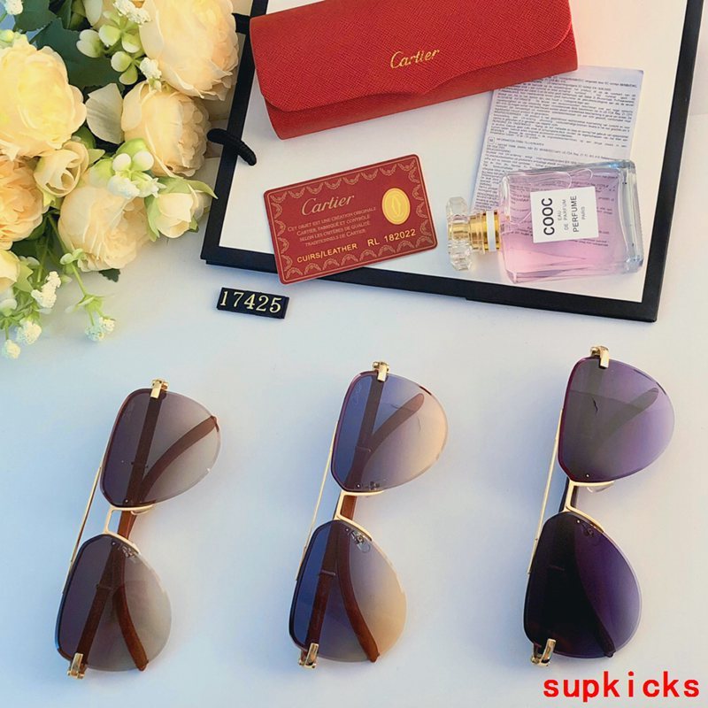 Side view of Cartier unisex sunglasses