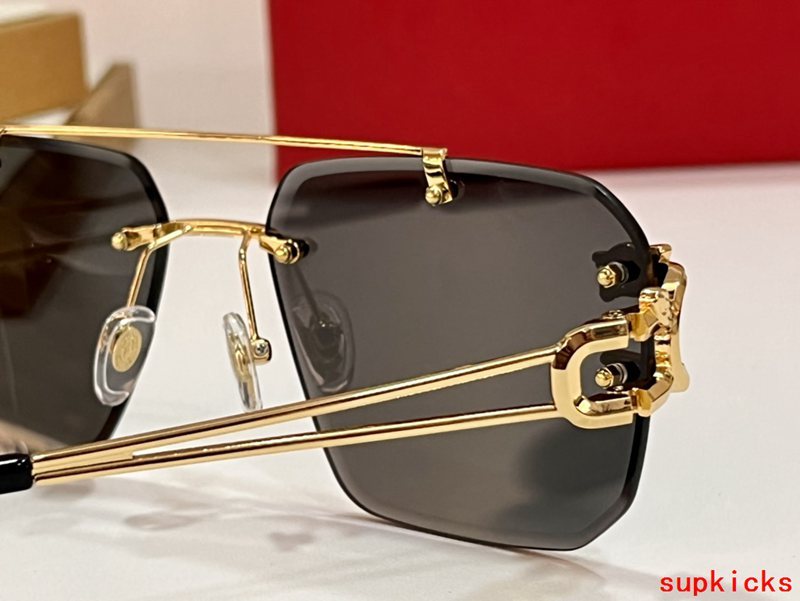 Lifestyle view of Cartier unisex sunglasses