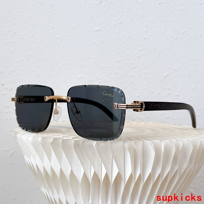 Close-up detail view of Cartier unisex sunglasses