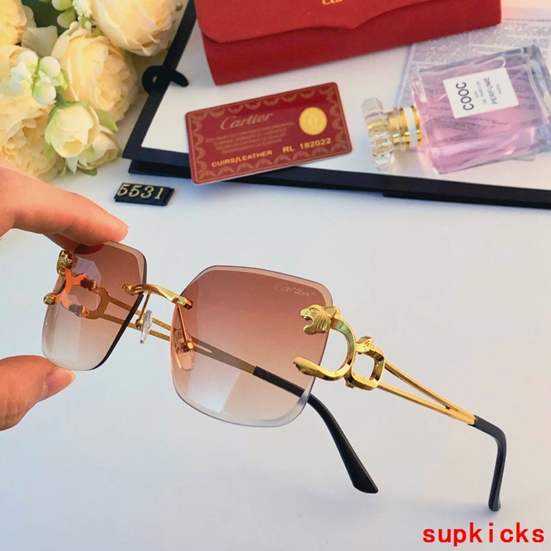 Close-up detail view of Cartier unisex sunglasses