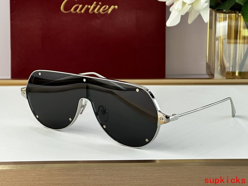 Side view of Cartier unisex sunglasses