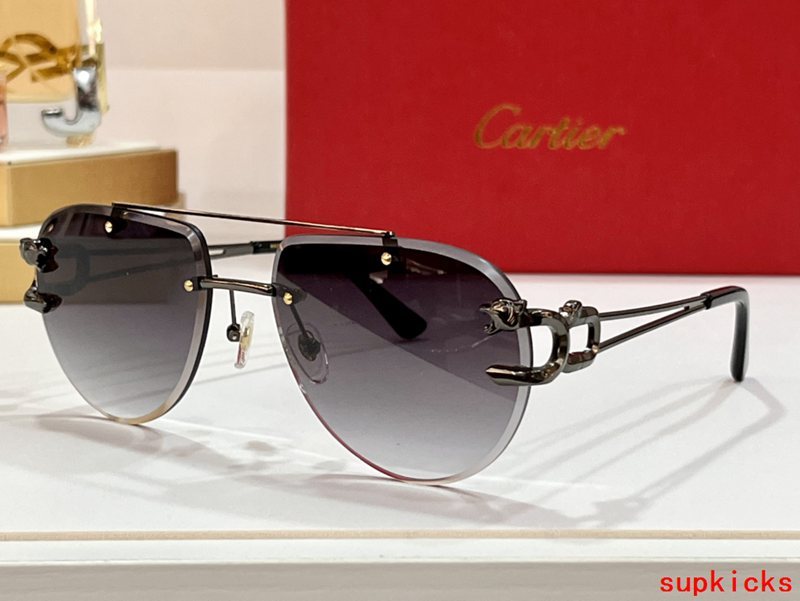 Front view of Cartier unisex sunglasses