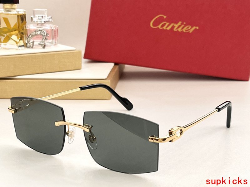 Full view of Cartier unisex sunglasses