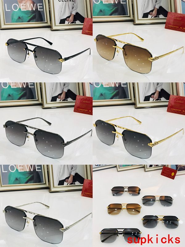 Lifestyle view of Cartier unisex sunglasses