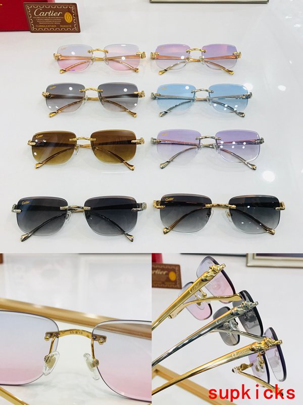 Lifestyle view of Cartier unisex sunglasses