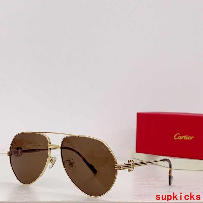 Front view of Cartier unisex sunglasses
