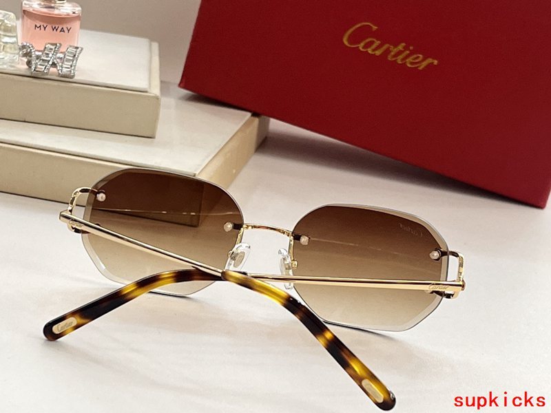 Close-up detail view of Cartier unisex sunglasses