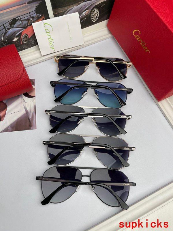 Close-up detail view of Cartier unisex sunglasses