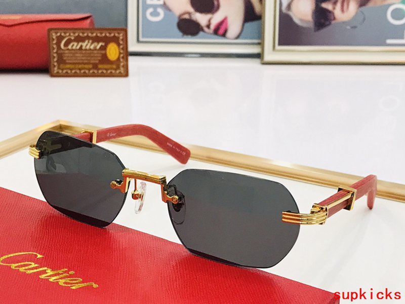Close-up detail view of Cartier unisex sunglasses