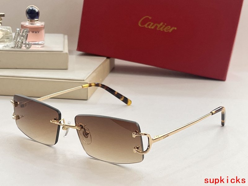 Side view of Cartier unisex sunglasses
