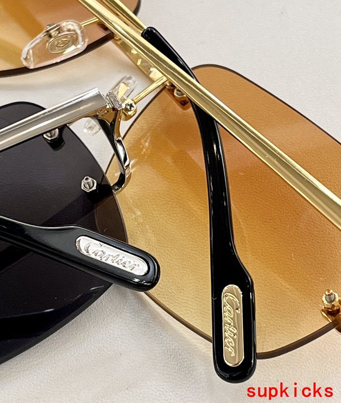 Close-up detail view of Cartier unisex sunglasses