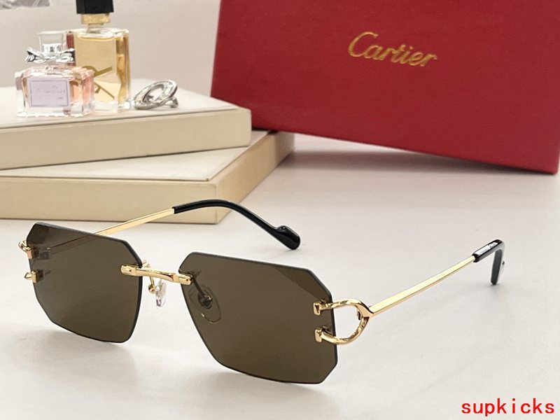 Lifestyle view of Cartier unisex sunglasses