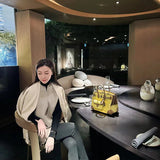 Interior view of graceful premium bag