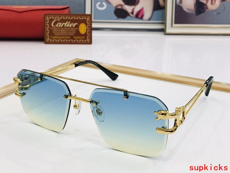 Full view of Cartier unisex sunglasses