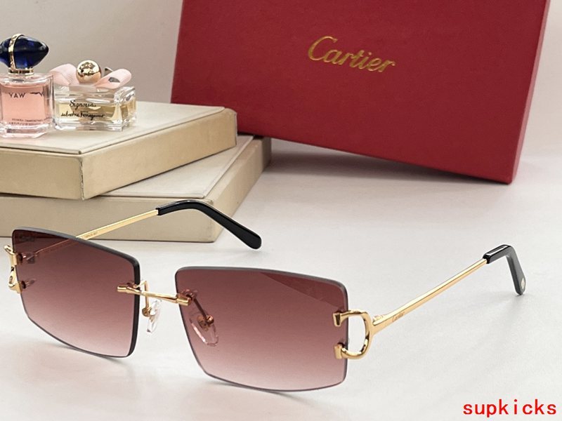 Side view of Cartier unisex sunglasses
