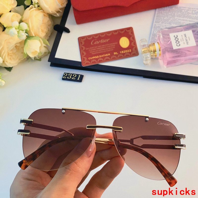 Side view of Cartier unisex sunglasses