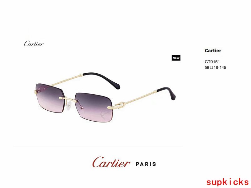 Front view of Cartier unisex sunglasses