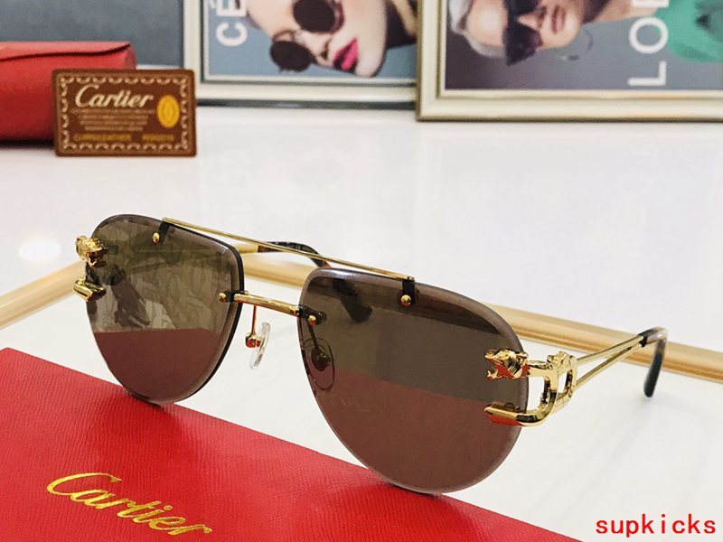 Front view of Cartier unisex sunglasses