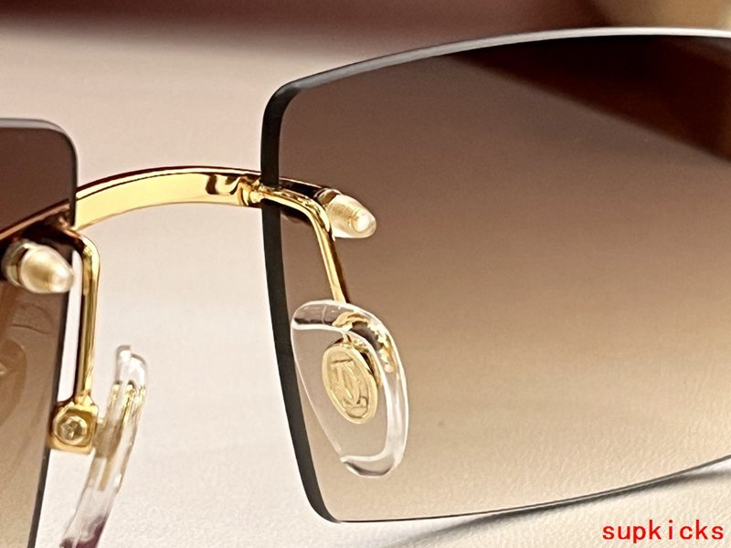 Close-up detail view of Cartier unisex sunglasses