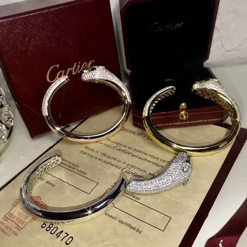 Side view of Cartier unisex jewelry piece