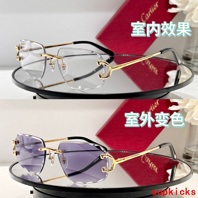 Side view of Cartier unisex sunglasses