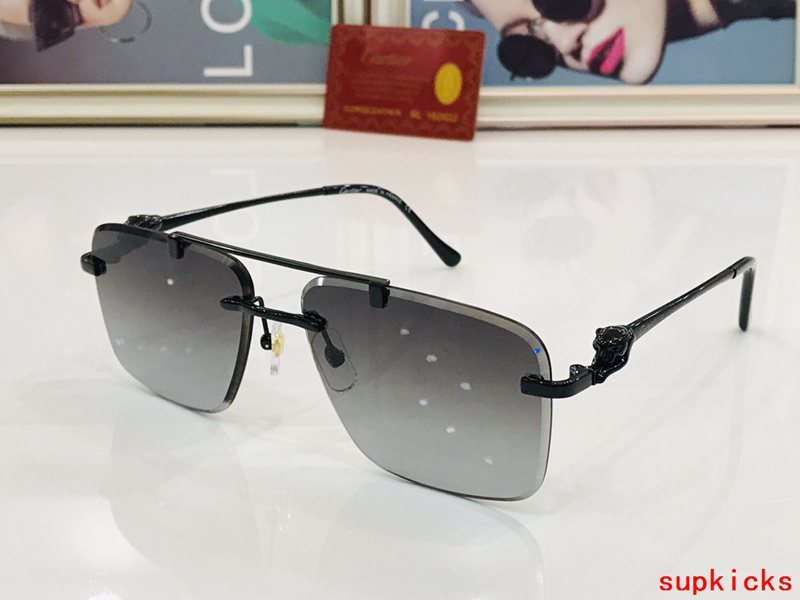 Side view of Cartier unisex sunglasses