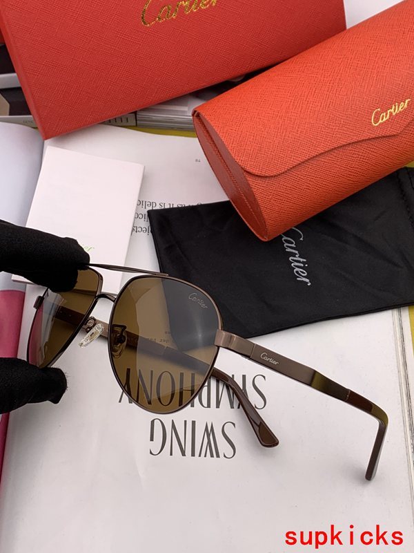 Close-up detail view of Cartier unisex sunglasses