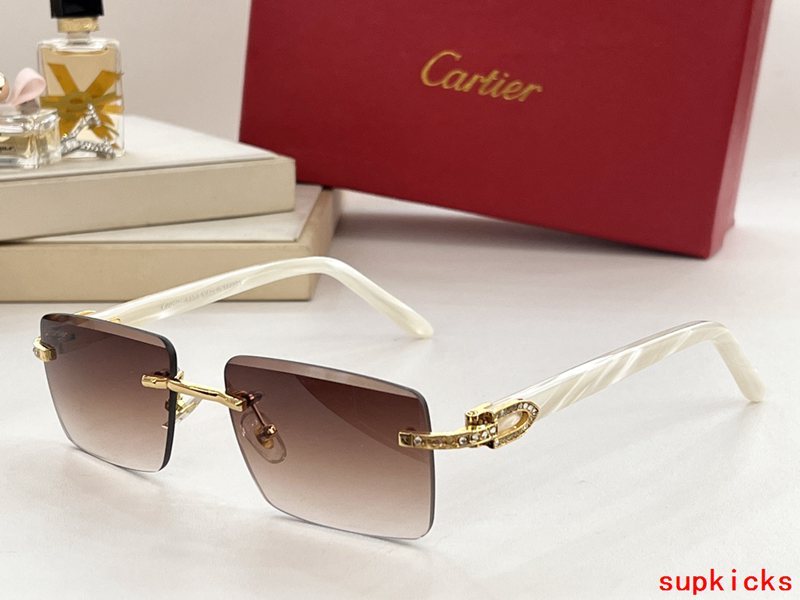 Close-up detail view of Cartier unisex sunglasses