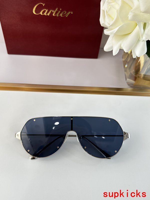 Full view of Cartier unisex sunglasses
