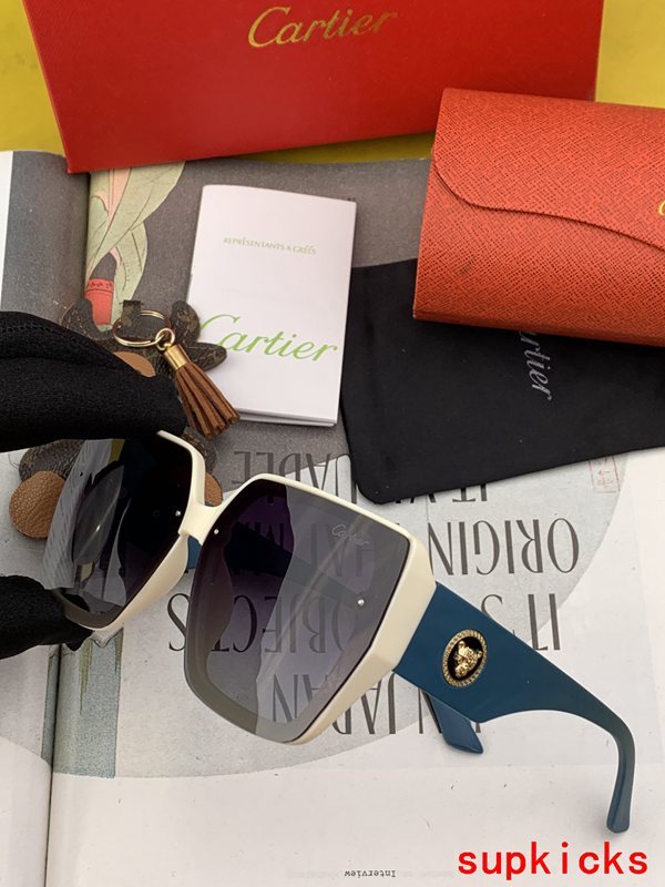 Side view of Cartier unisex sunglasses