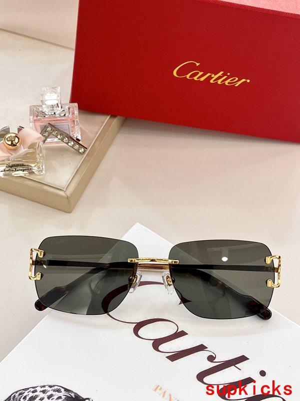 Side view of Cartier unisex sunglasses