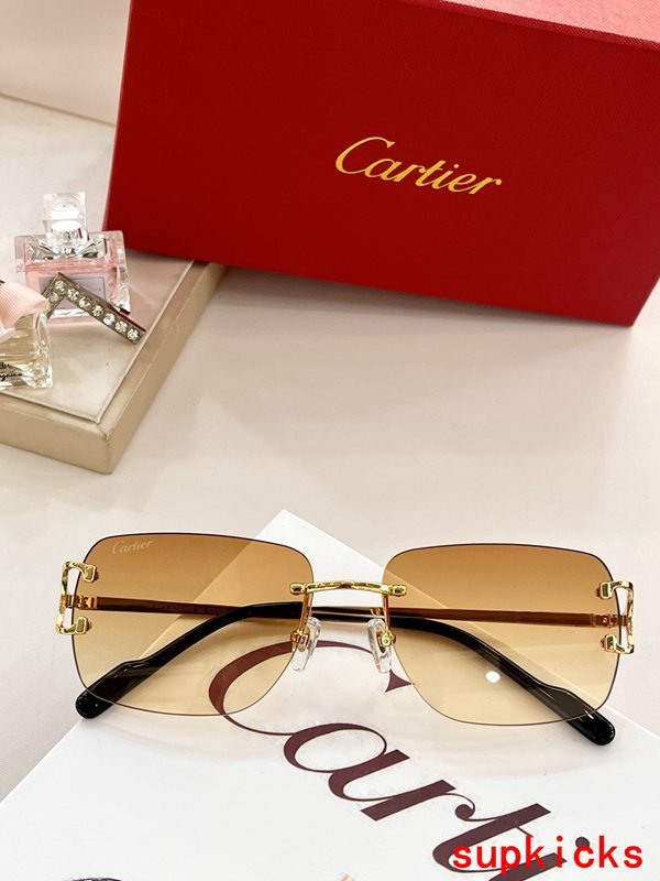 Front view of Cartier unisex sunglasses