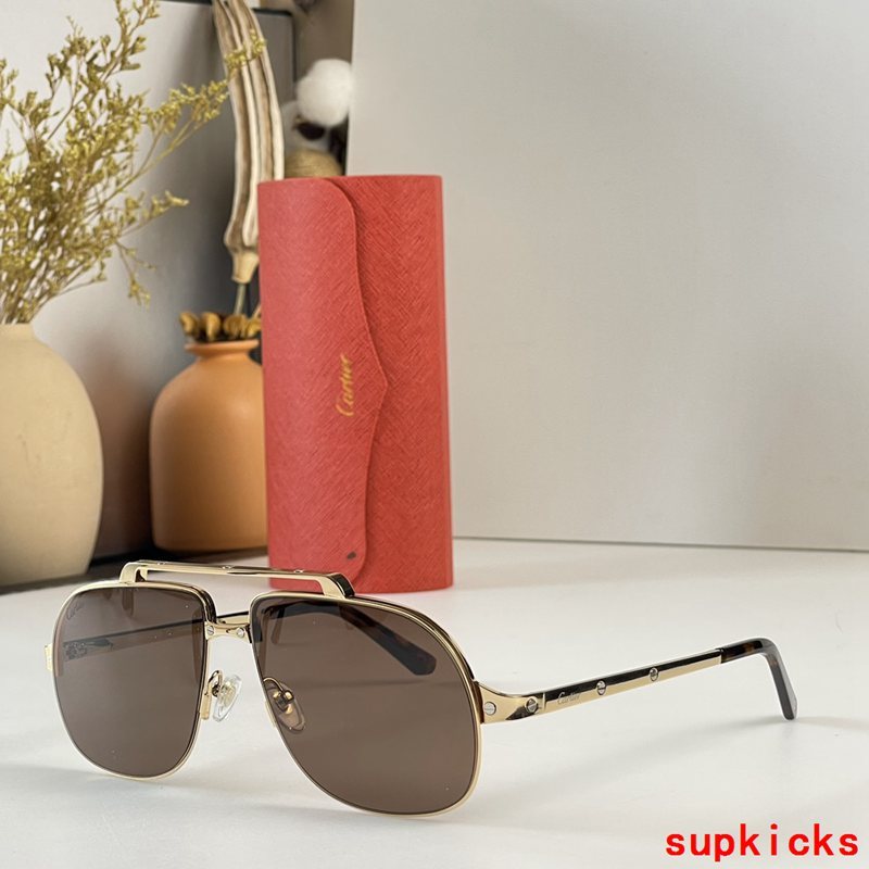 Side view of Cartier unisex sunglasses