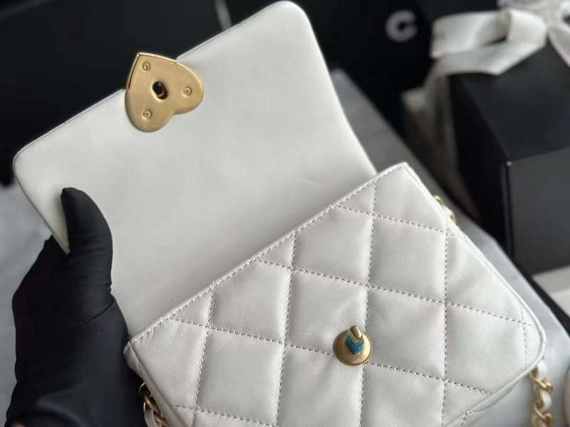 Zivas Charm Streamlined Design Luxury Handbag (Thoughtfully Structured Design) – Lifestyle Shot
