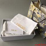 Dior shoes Style 041 - full pair display (alternate angle)