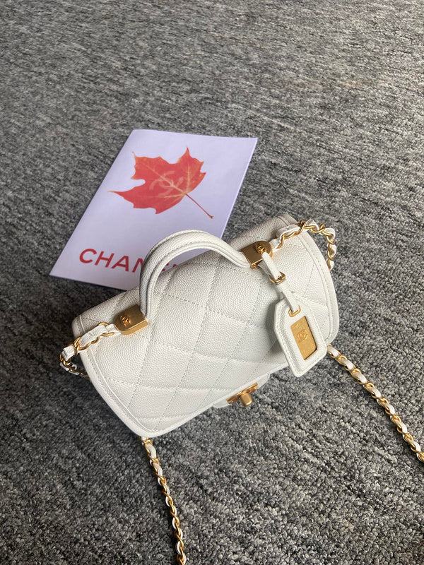 Zivas Charm Polished Finish Designer Handbag (Effortless Style Upgrade) – Back View