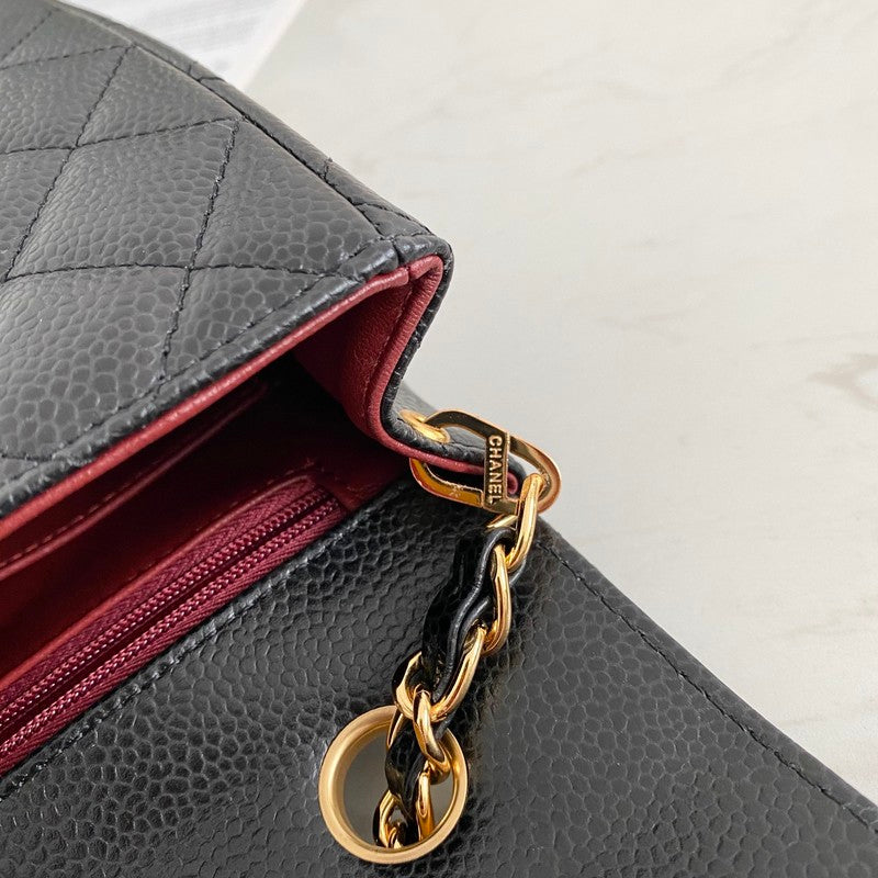 versatile purse view 10