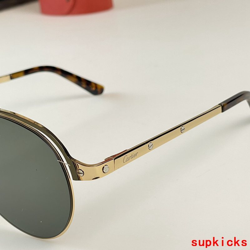 Close-up detail view of Cartier unisex sunglasses