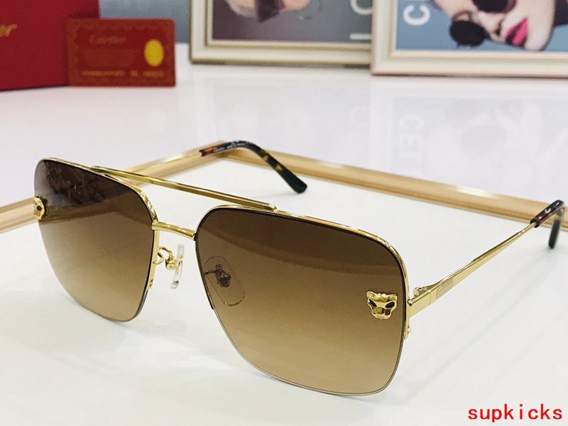 Full view of Cartier unisex sunglasses