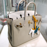 Elegant bag shown from front angle